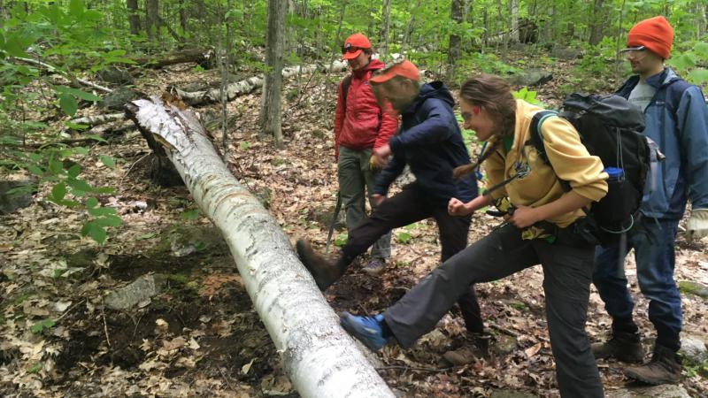 Volunteers Inspecting Blow-Down