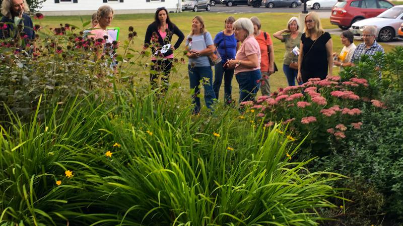 Volunteers learning about Pollinator Plants