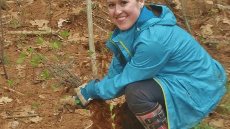 Volunteering Pulling Invasive Plant