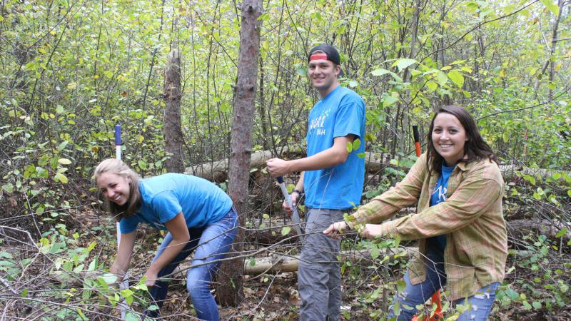 UNH Students Pulling Buckthorn