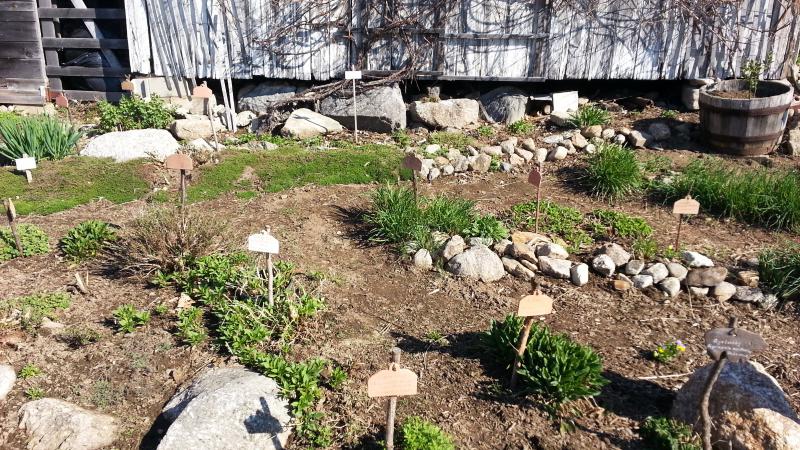 Spring garden planted
