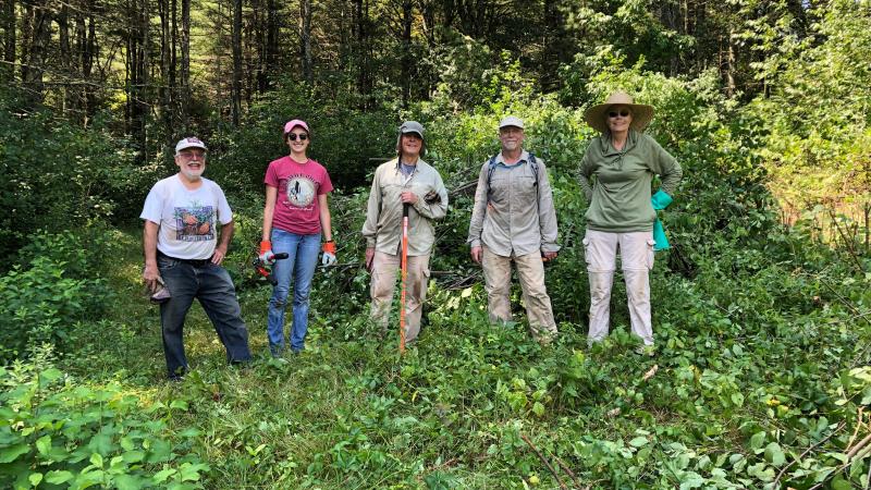 Volunteers