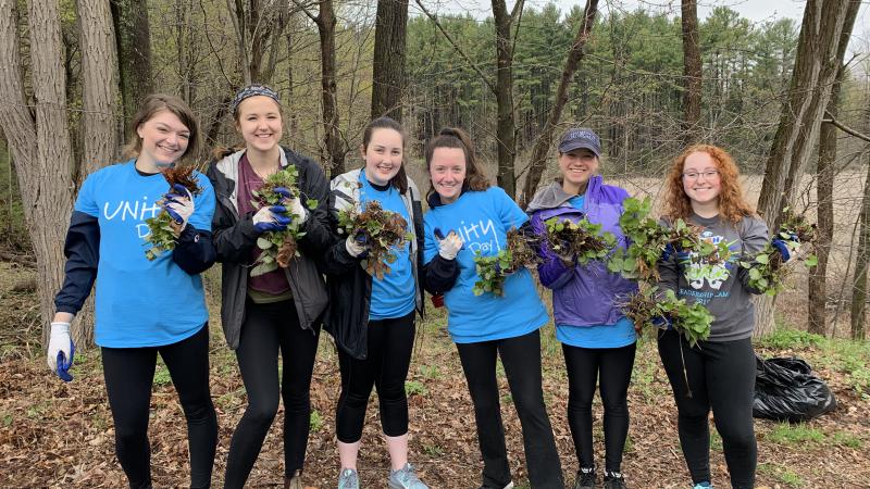 Volunteers pulling garlic mustard