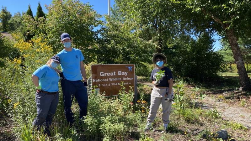 Garden Volunteers