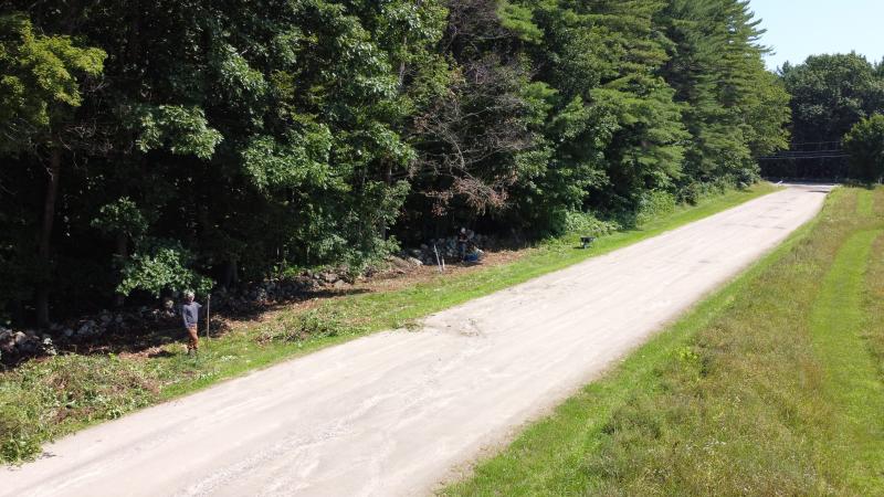 Invasive Volunteers