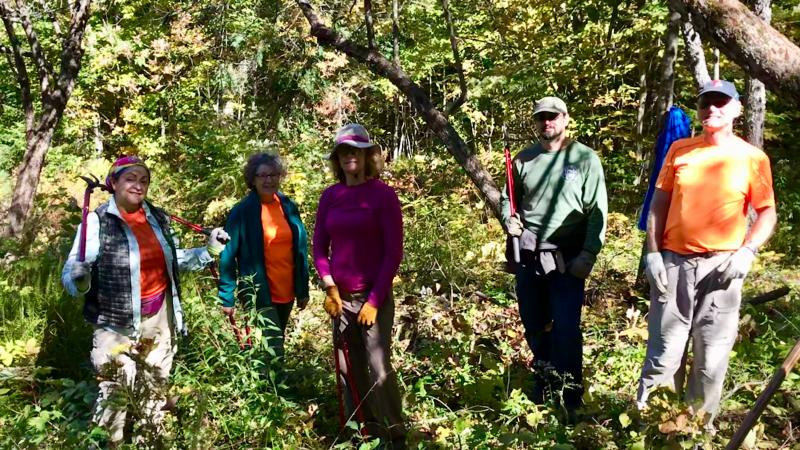 Volunteers pruning orchard trees.
