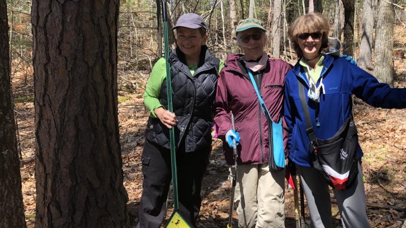 Volunteers in Lee Town Forest