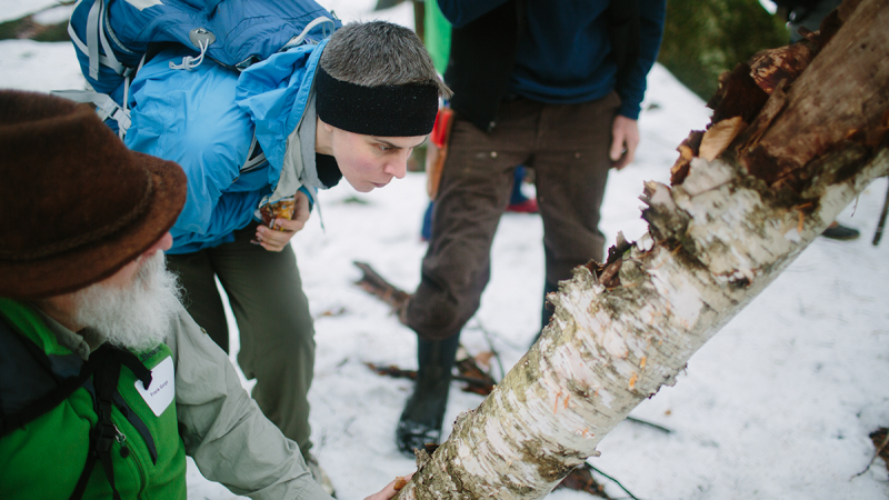 Winter Wildlife Tracking