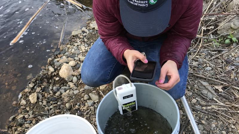Monitor taking a photo of eels in a bucket