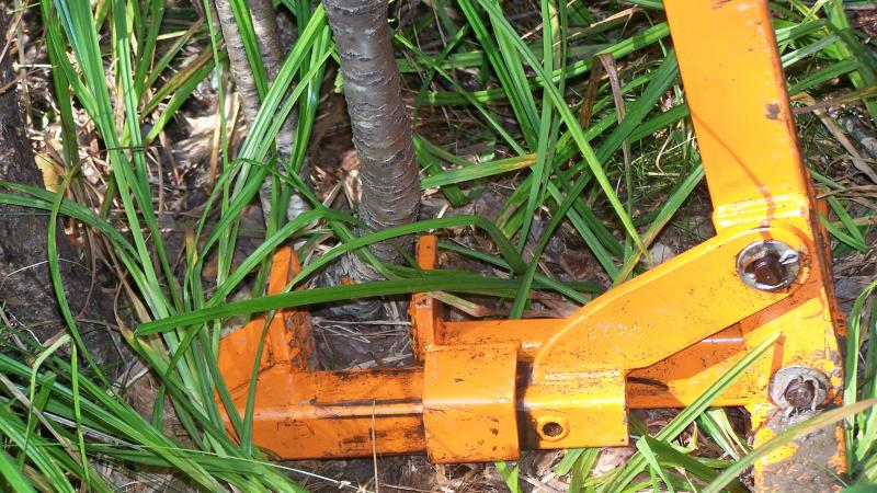Tool to pull invasive plants.