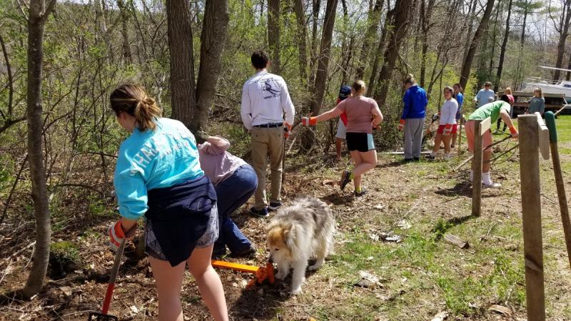 Volunteers removing invasive plants.