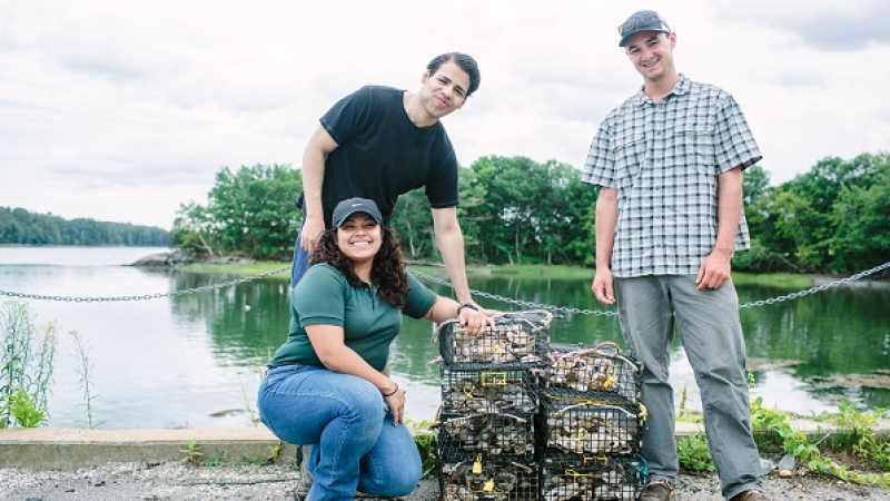 Volunteers with oysters.