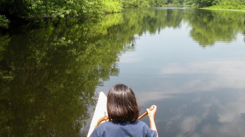 People kayaking