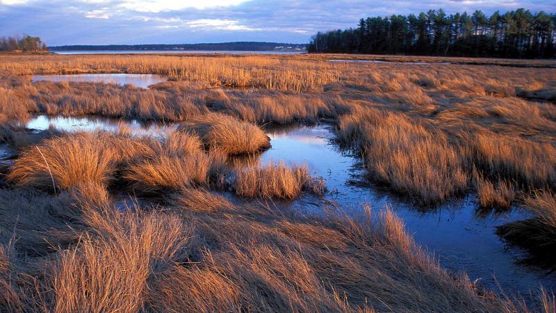 Lubberland Creek