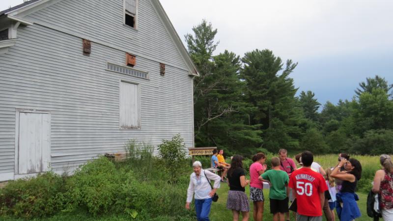 Volunteers using binoculars to look for bats at dusk