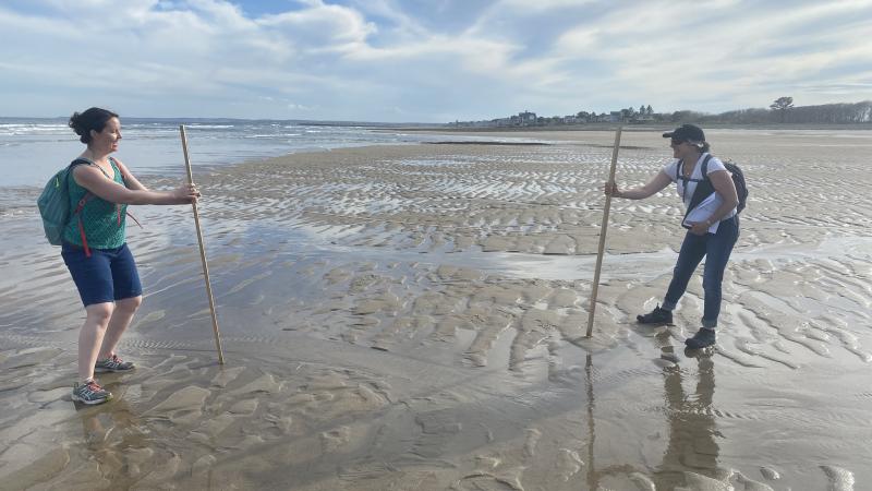 Volunteers using the emery method to profile a beach