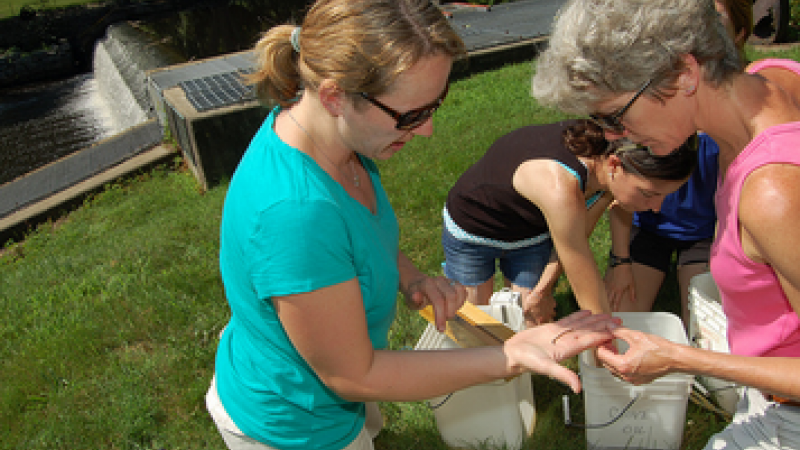 volunteer holding an eel