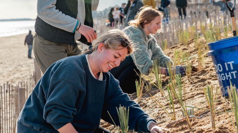 Dune restoration volunteers.