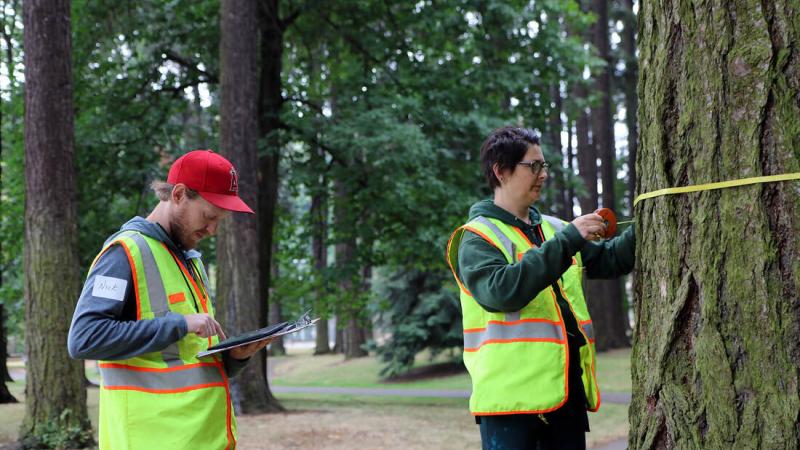 Arboretum assistants