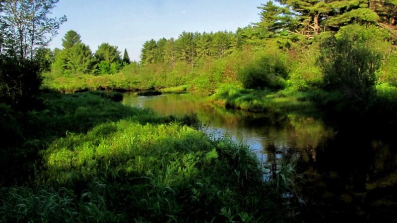 Munroe Preserve