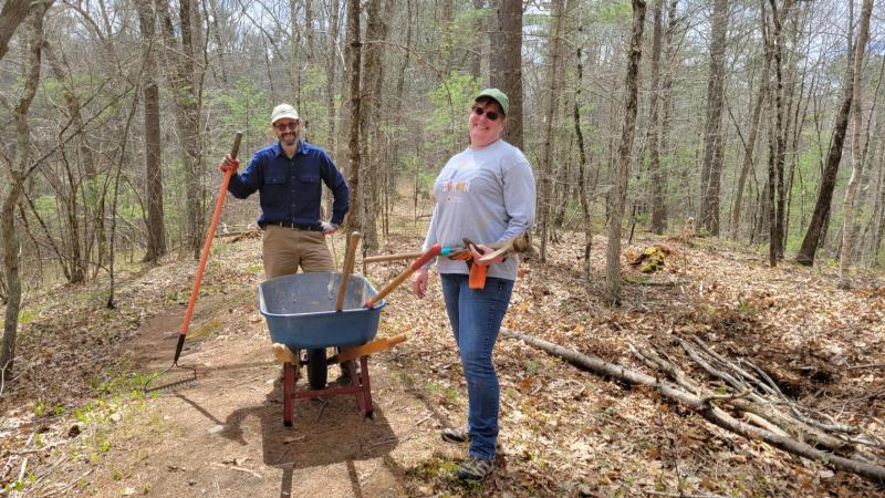 Volunteers at Lee Town Forest