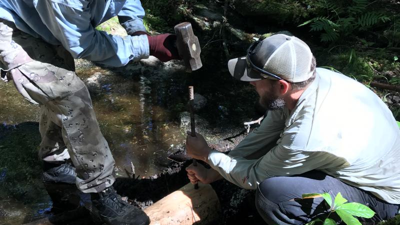 Volunteers hammering rebar into a log