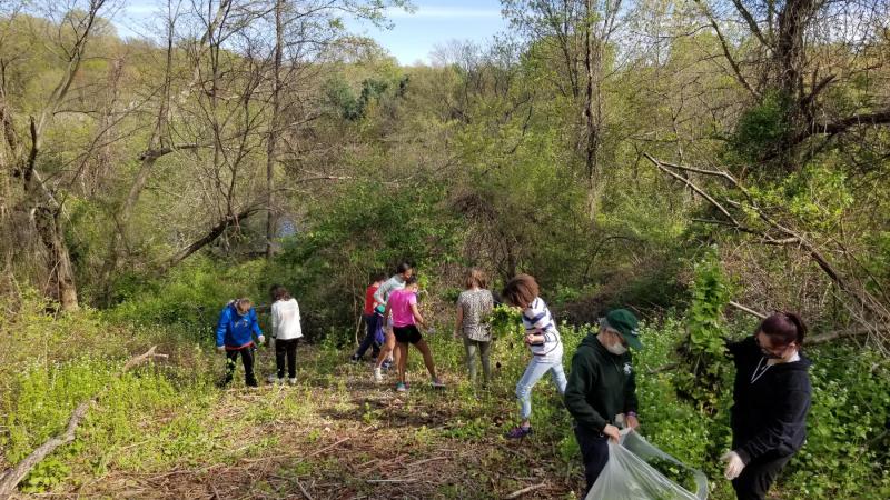Volunteers pulling garlic mustard