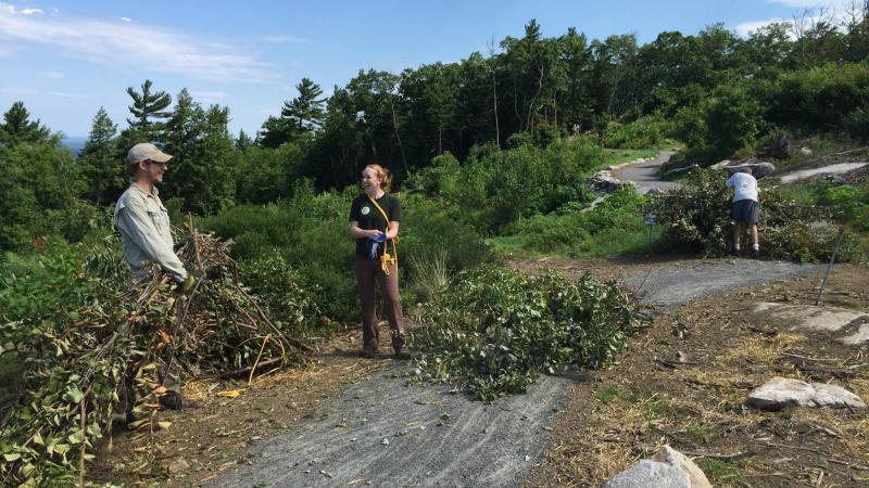 Volunteers clearing branches