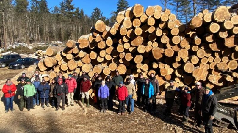 Timber harvest students