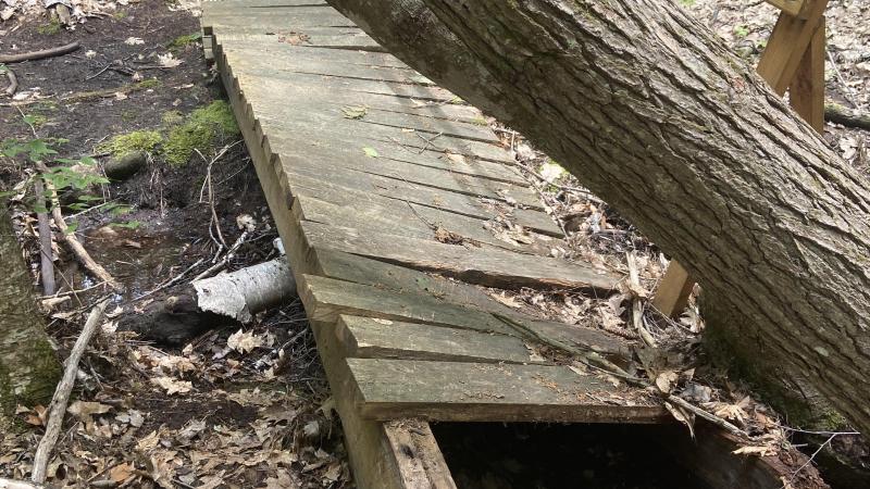 Foot bridge at Sheldrick Forest