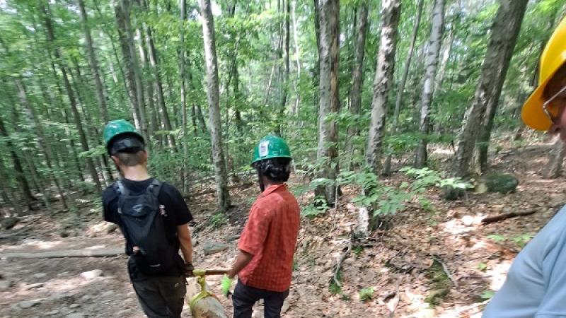 Volunteers carrying a log on a woodland trail.
