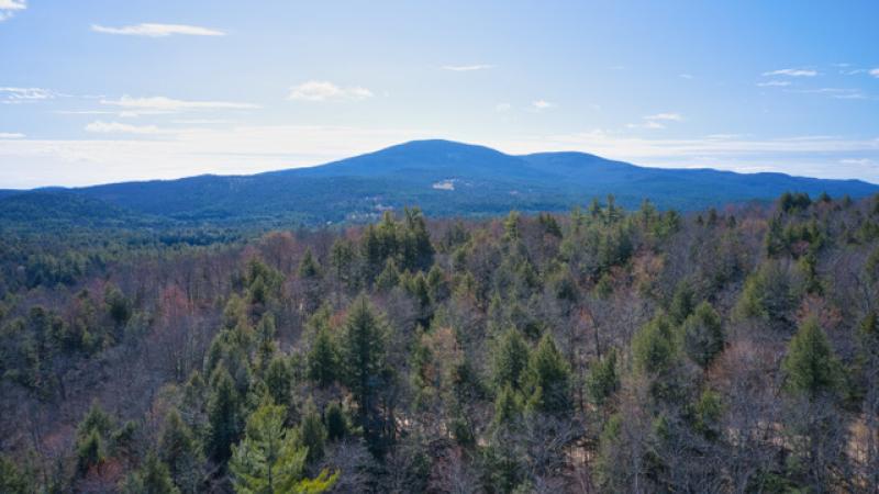 Morning in the wood and mountains of New Hampshire