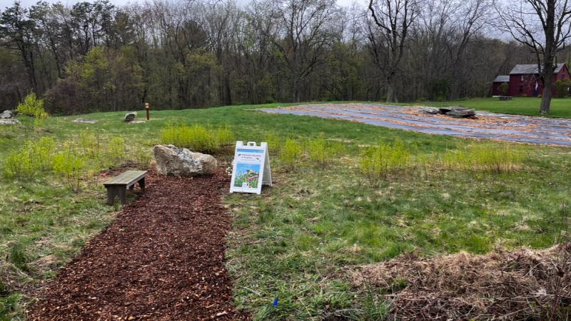 pollinator garden