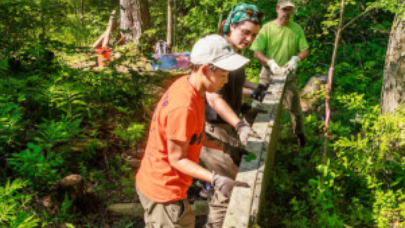 person moving lumber for bridge on trail