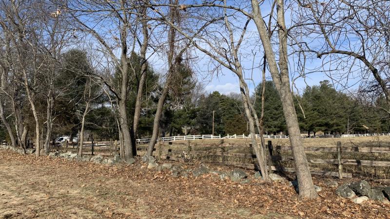 Rural stone wall