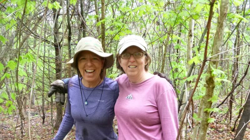 Two volunteers working in the woods.