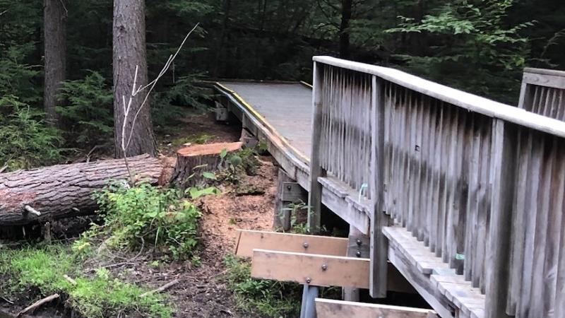 Wetlands boardwalk at Gunstock mountain.