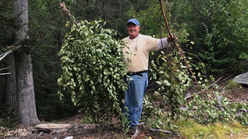 Volunteer holding up shrub prunings at Mount A.