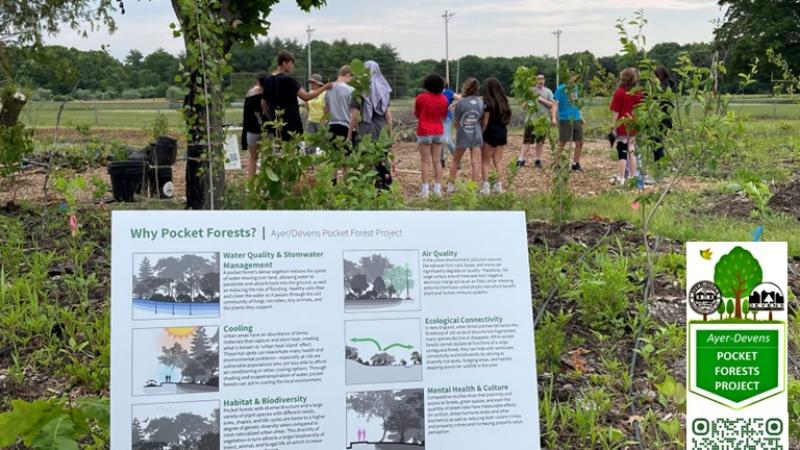 Pocket Forest sign with people in background