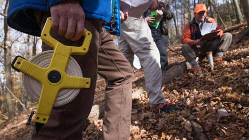 Volunteers checking property boundaries