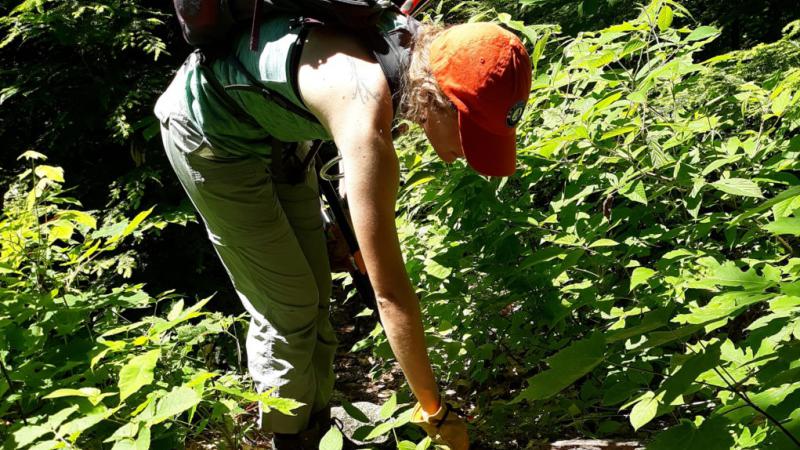 Volunteer helping with trail work