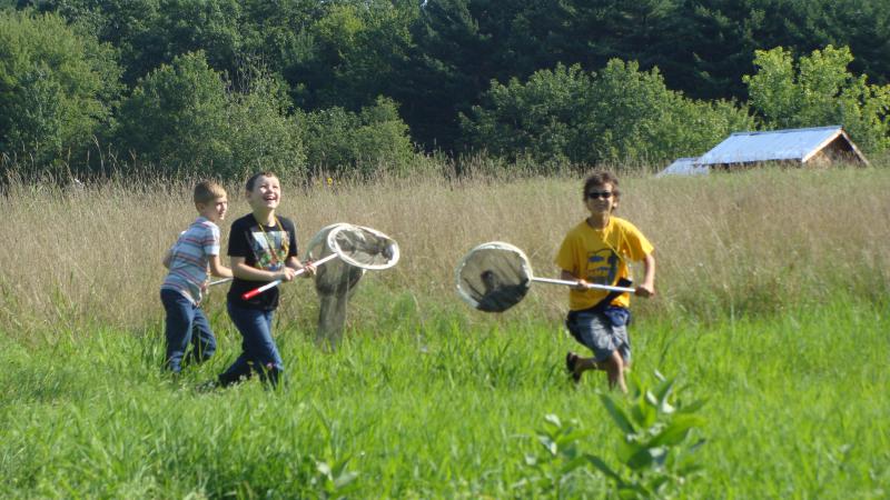 Kids Searching for Monarchs