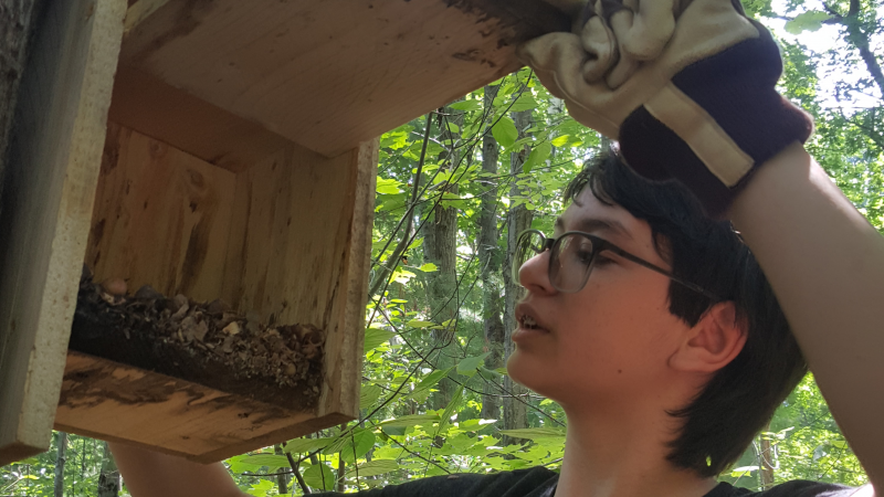 Flying Squirrel Nest Box