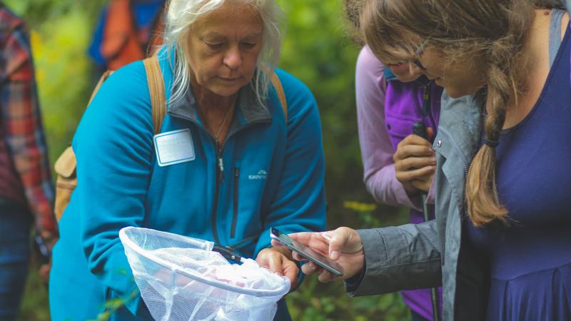 person using photo to take photo of insect