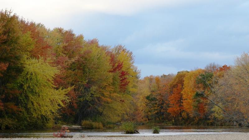 view of river
