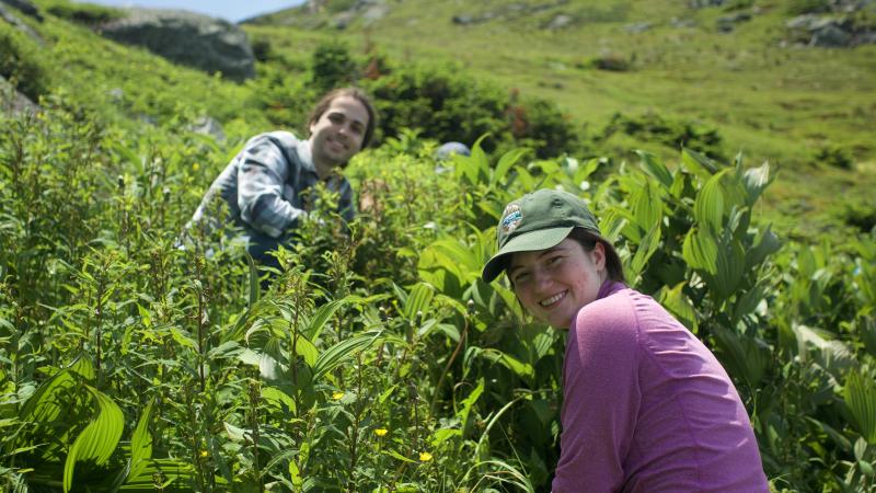 two smiling volunteers in the alpine zone pulling dandelions