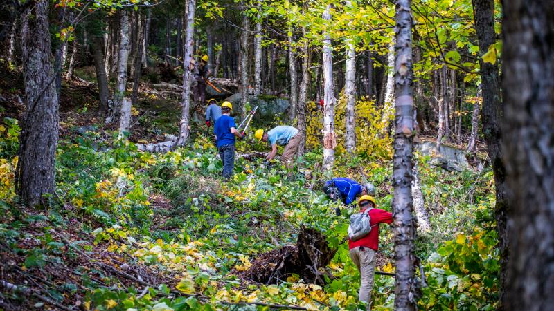 trail volunteers cleaning ski glade
