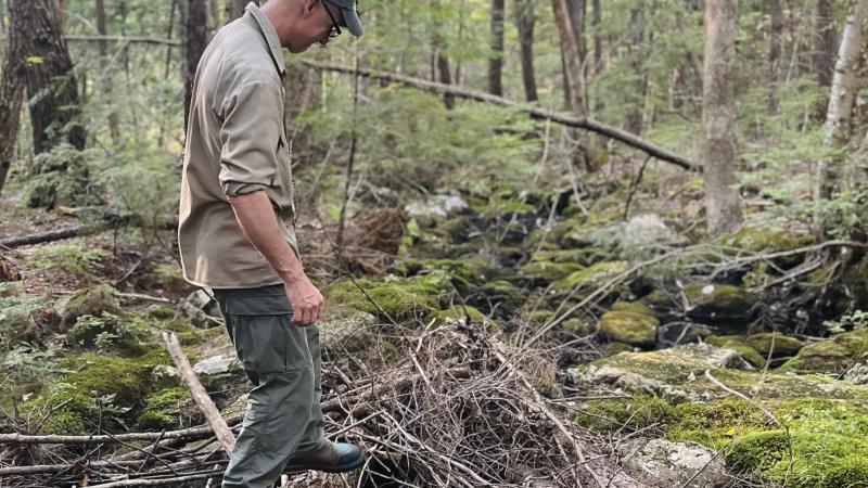 person standing in stream with woody material