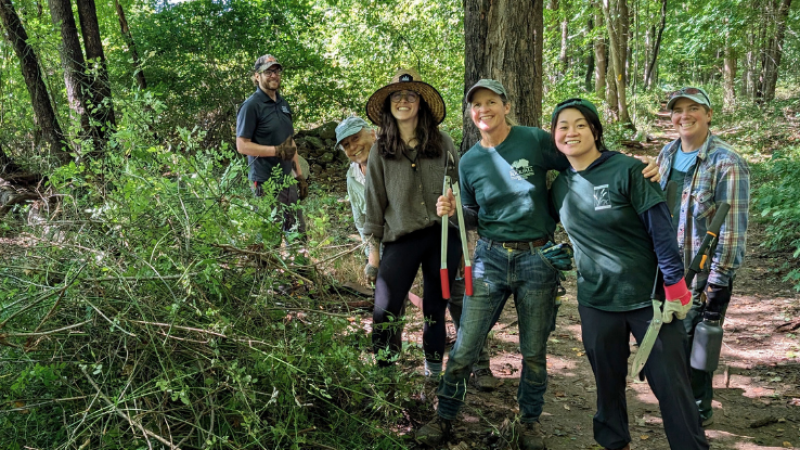 volunteers with invasive plants and tools