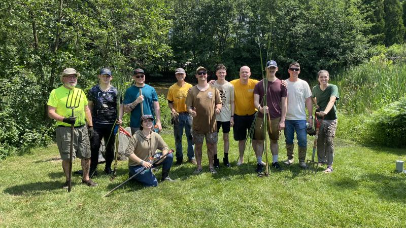 group of invasive volunteers